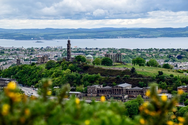 Edinburgh City View