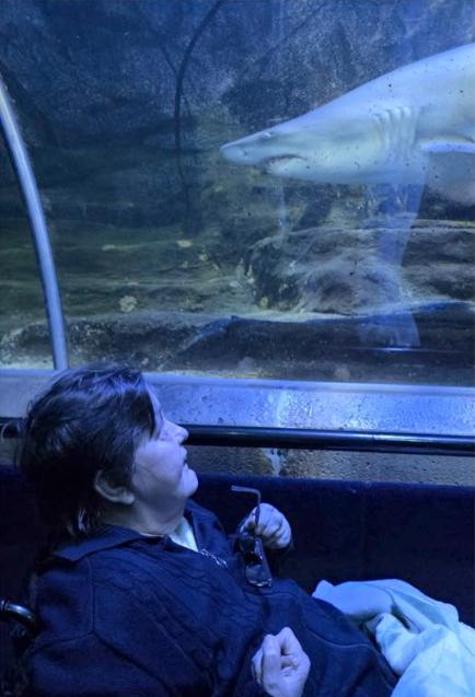 resident looking up at a shark in an aquarium